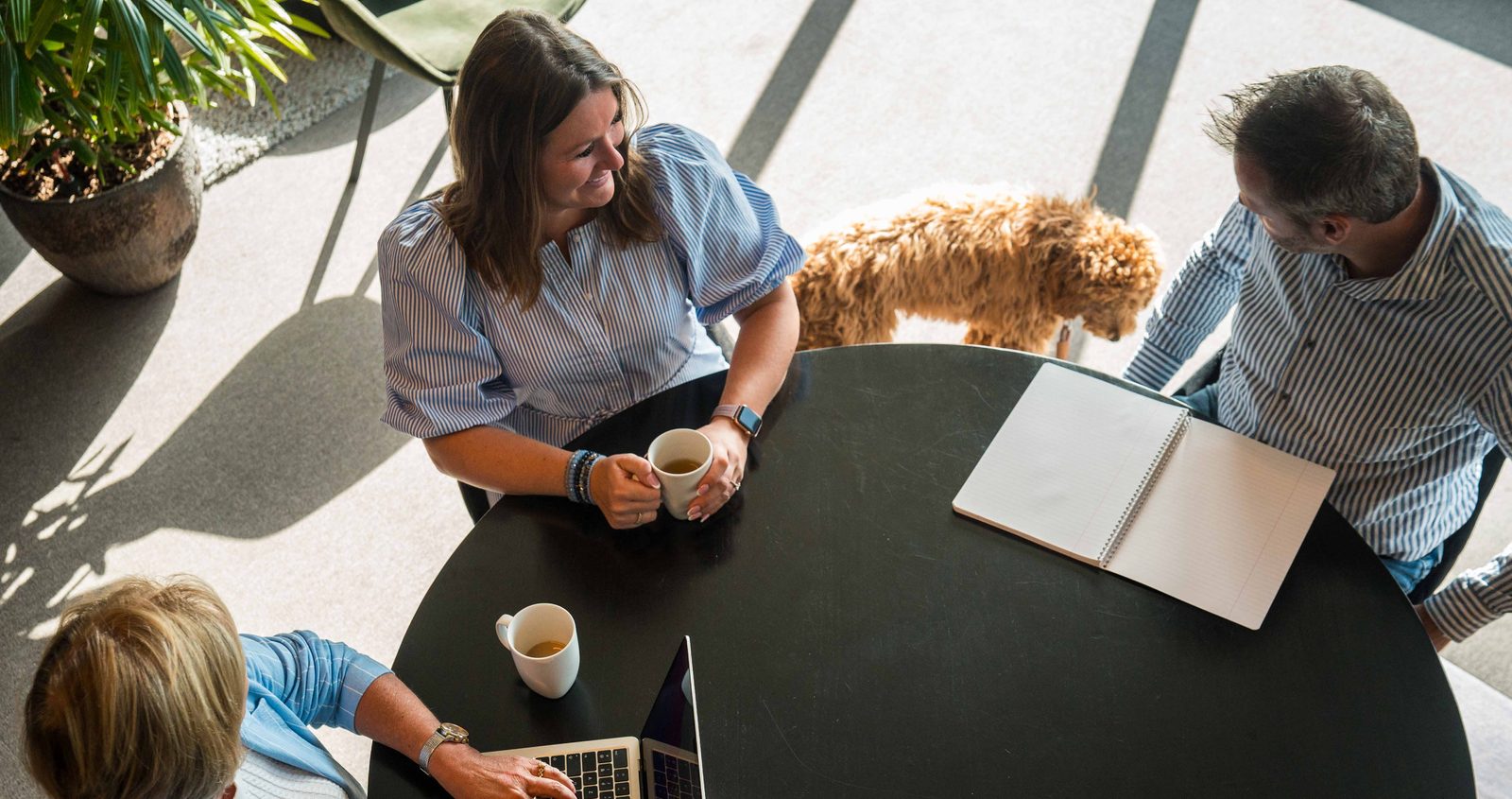 Colleagues around a table with coffee and a laptop